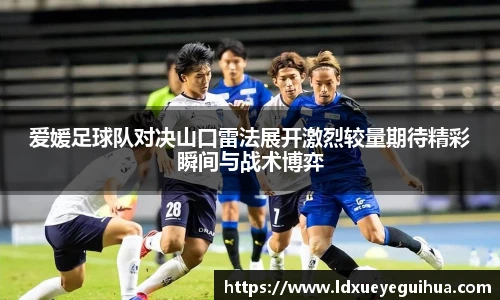 vsport体育新版本