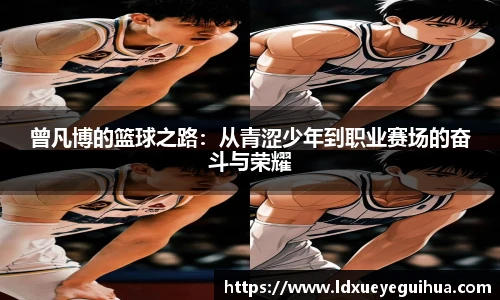 vsport体育新版本