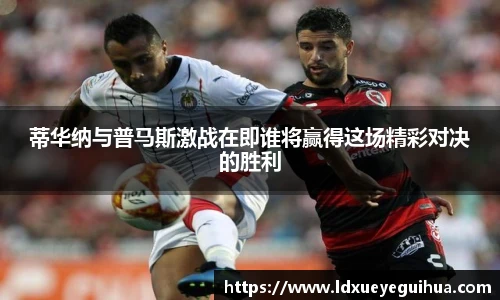 vsport体育官方网站