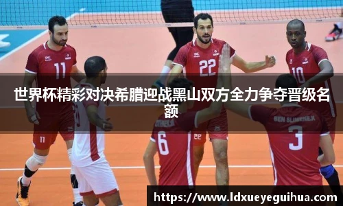 vsport体育新版本